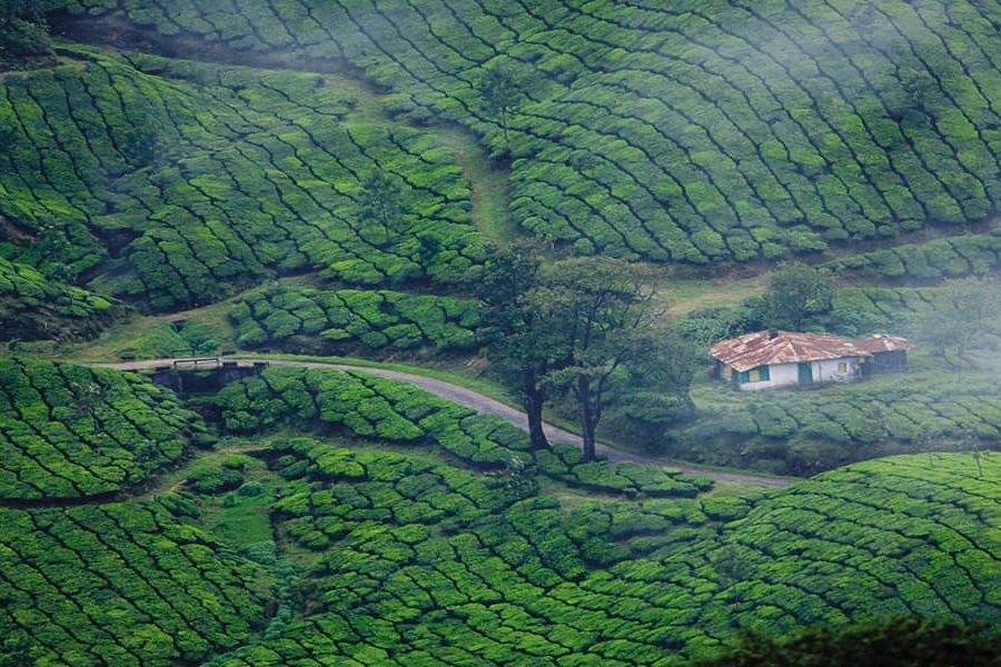 Kerala Tour Packages